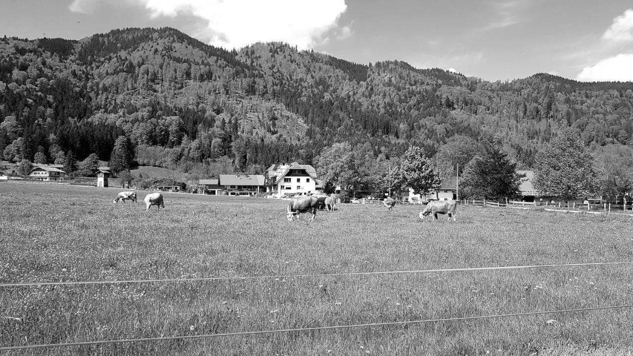 S'Quartier Am Schliersee Kültér fotó